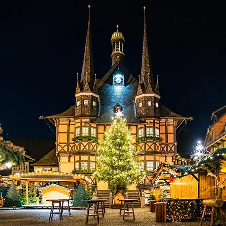 Lejlighed Gemuetliche Residenz Mit Holzofen-sauna Von Harztraveler