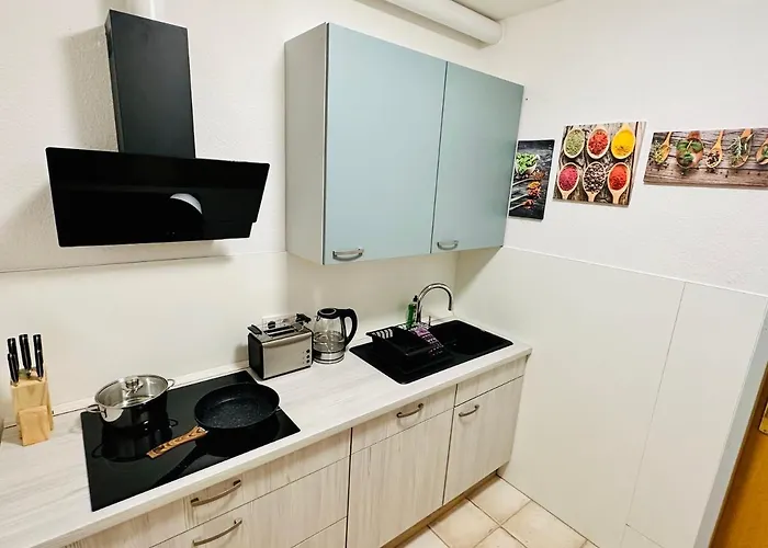 Gemuetliche Residenz Mit Holzofen-sauna Von Harztraveler Appartamento *