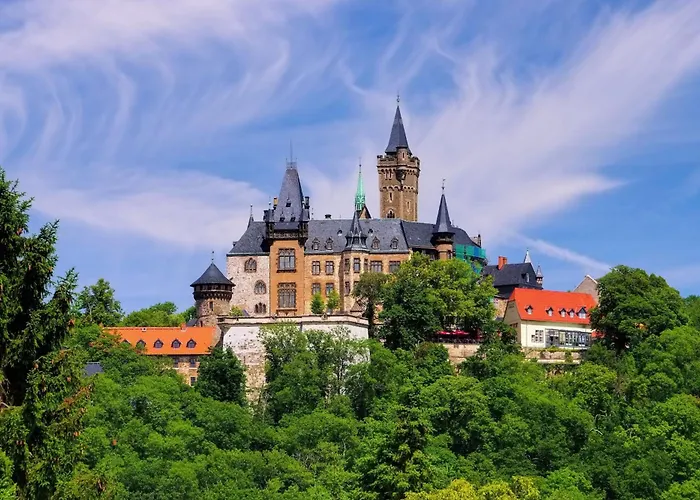 Appartamento Gemuetliche Residenz Mit Holzofen-sauna Von Harztraveler