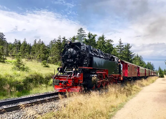Appartamento Gemuetliche Residenz Mit Holzofen-sauna Von Harztraveler *